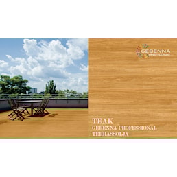 SV GB PROFESSIONAL TERRASSOLJA TEAK.jpg